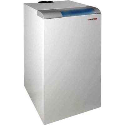 Газовый котел Protherm 20 КLOМ (Медведь) 00006493 фото