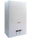 Газовый котел Protherm LYNX 24 ВА (Рысь) 00006482 фото 1